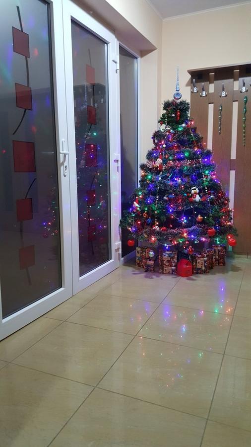 Family Pension Arad Exterior foto